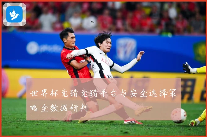 世界杯竞猜竞猜平台与安全选择策略全数据研判
