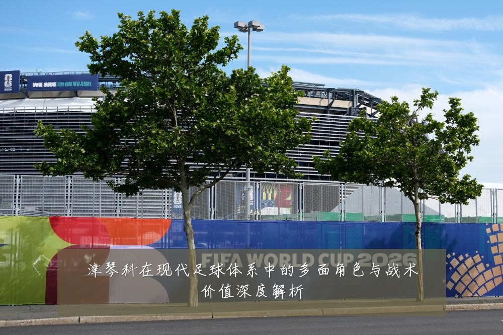 津琴科在现代足球体系中的多面角色与战术价值深度解析